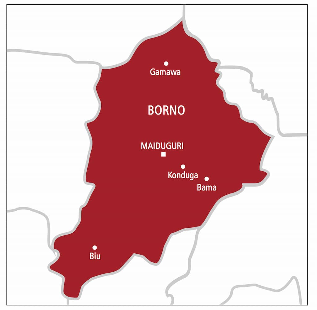 Borno Government To Seize 7 UN Properties Over Tax Evasion