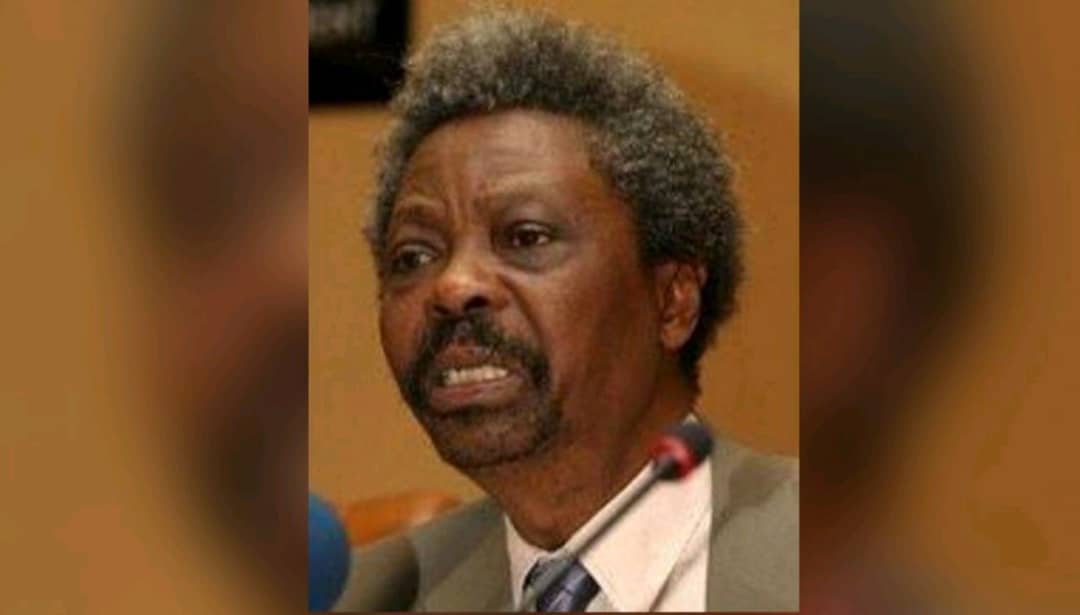 Voice Of Aiyekooto: Soyinka dies at 85