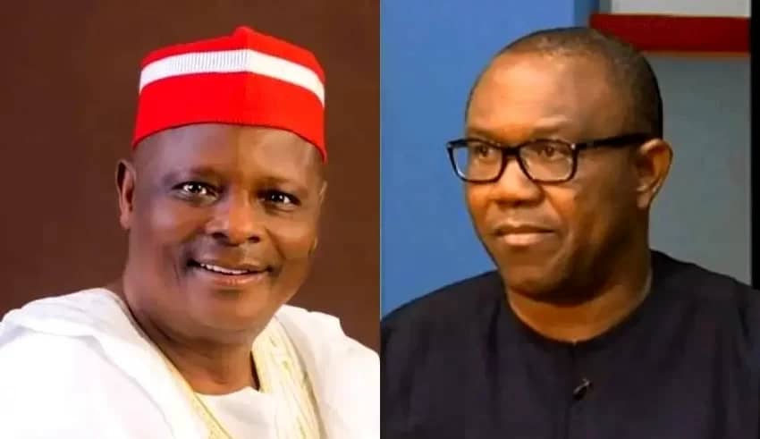 Voice Of Aiyekooto: PETER OBI: KWANKWASO CONFIRMS NNPP, LABOUR PARTY MERGER TALKS