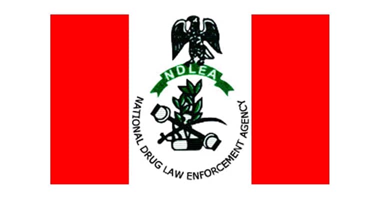 1.3 Tons Of Drugs Exhibits Seized, 500 Offenders Arrested In Katsina – NDLEA