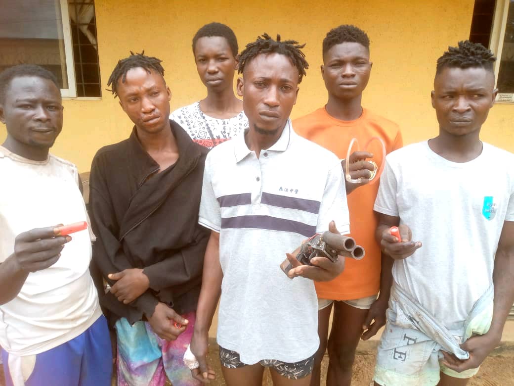 Monarch’s Son Send Cultists To Kill Father