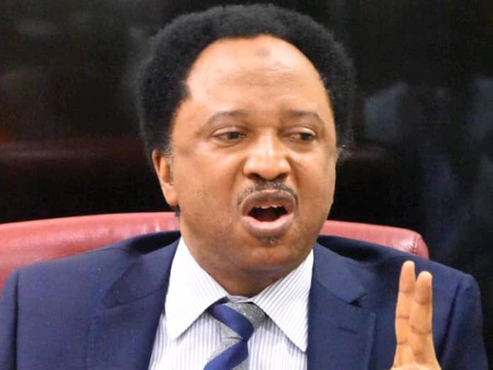 Dino Melaye And I Made The Crowd To Fight The Thugs – Shehu Sani