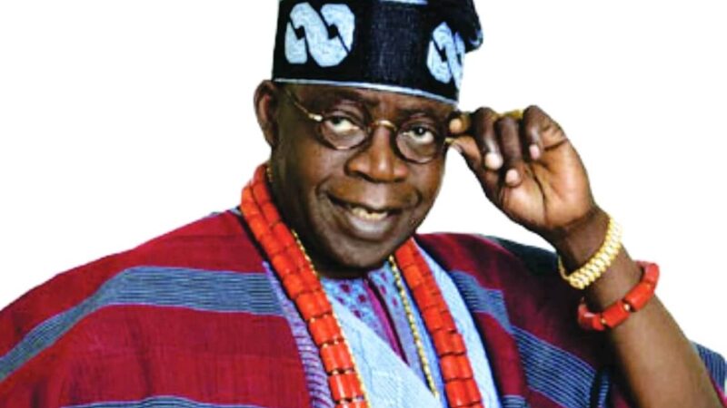 FG, Jakande, Johnson And Marwa Built Lagos, Not You, ADC To Tinubu