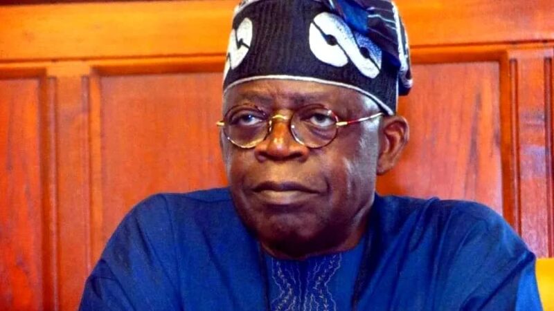 Naira, Petrol Hoarders Plotting Interim Government, Tinubu Alleges