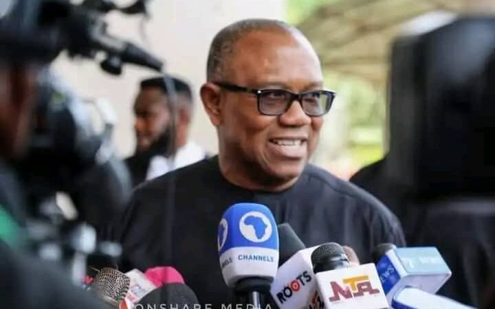 June 12: Nigeria’s democracy deeply troubled, says Obi