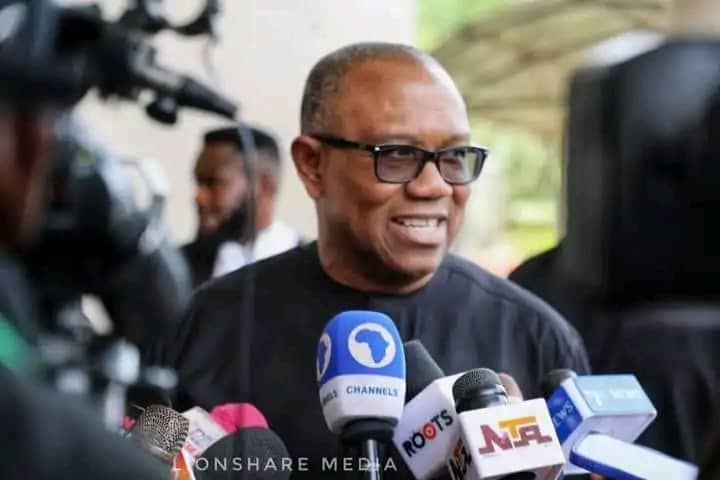 June 12: Nigeria’s democracy deeply troubled, says Obi