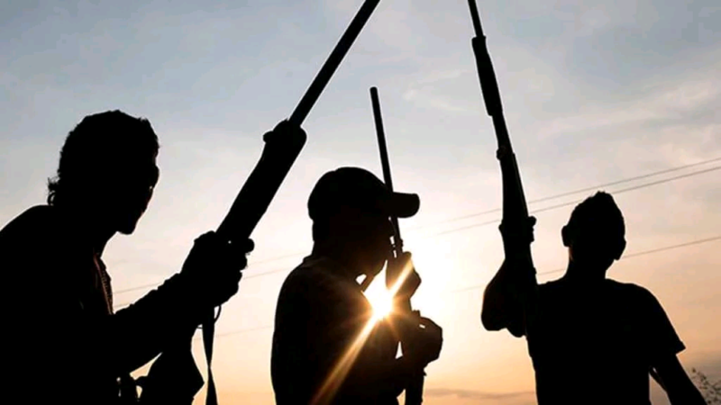 Gunmen kill security guard in Benue community