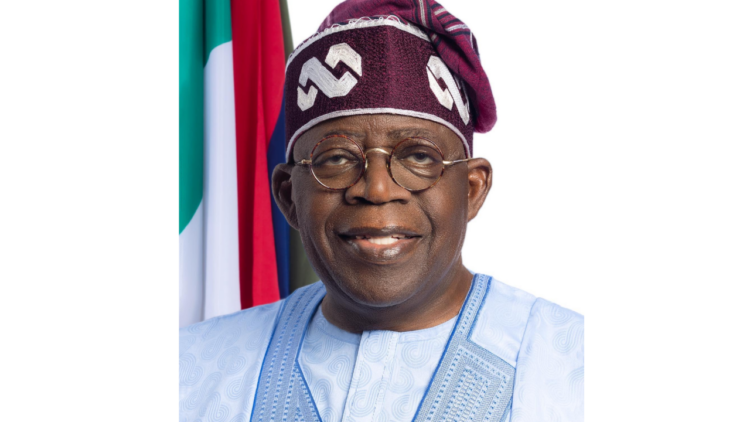 Be Patient, Palliatives Will Come, Tinubu Tells Nigerians