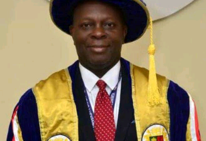 Igbinedion University To Manufacture Electric Vehicles – VC