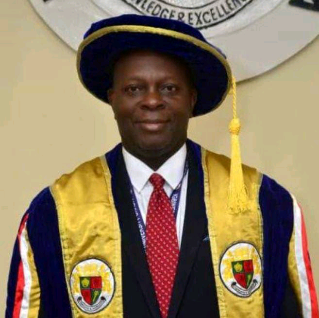 Igbinedion University To Manufacture Electric Vehicles – VC