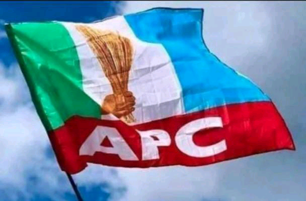 ‘We’ve no plan to compromise Supreme Court judgment’ – APC