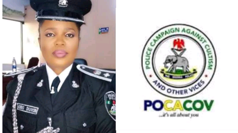 IGP Appoints Former PPRO, CSP Olabisi Okuwobi As New POCACOV National Coordinator