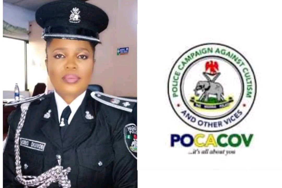 IGP Appoints Former PPRO, CSP Olabisi Okuwobi As New POCACOV National Coordinator