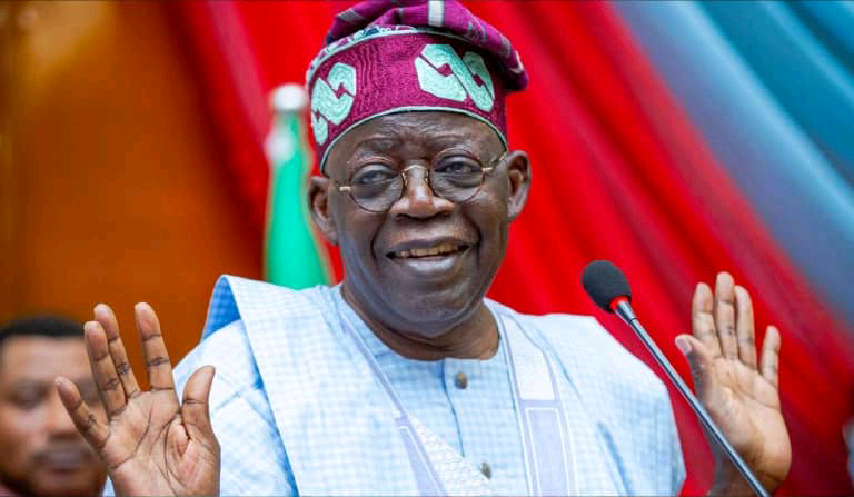 Criticize Tinubu And Go Three-Year Jail, Amnesty International Tells Nigerians