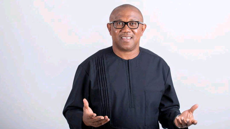 Men Will Dress Like Women If Nigerians Are Told Only Women Will Eat – Peter Obi