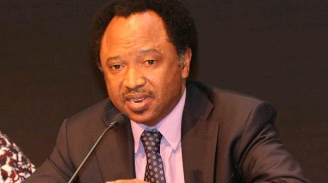 How Fawehinmi, Agbakoba, Falana, Sani, Ozekhome Missed Opportunity To Become President, Governors In 1999 – Sani