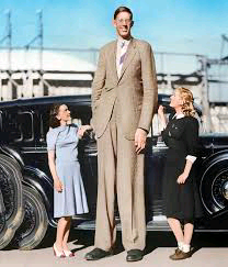 Meet The Tallest Man Ever In The World