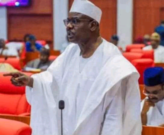 Tinubu has shut his doors, some Ministers can’t see him – Ndume