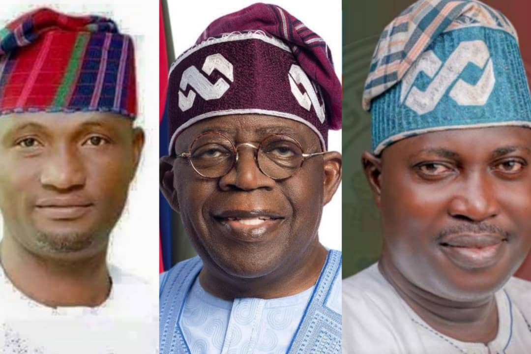 How a billionaire and ambitious son got disqualified in  APC  LG primary Election