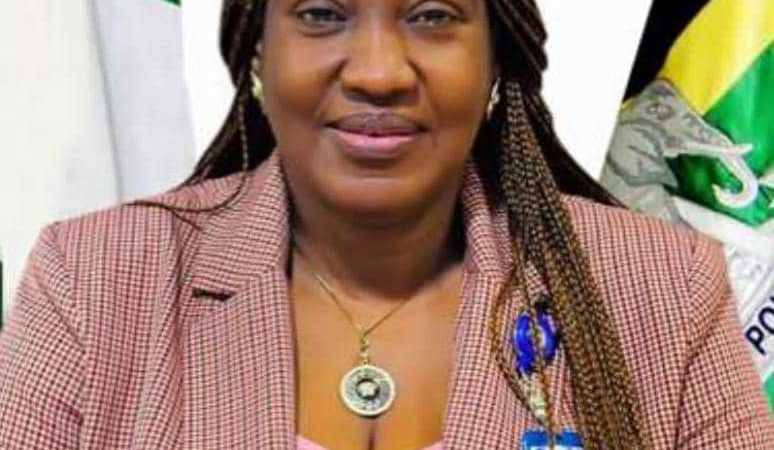 Tweets Aftermath: AIG Margaret Ochalla Order Orderly Room Trial For Police Officer, frowned at Unprofessional and Official Misconduct