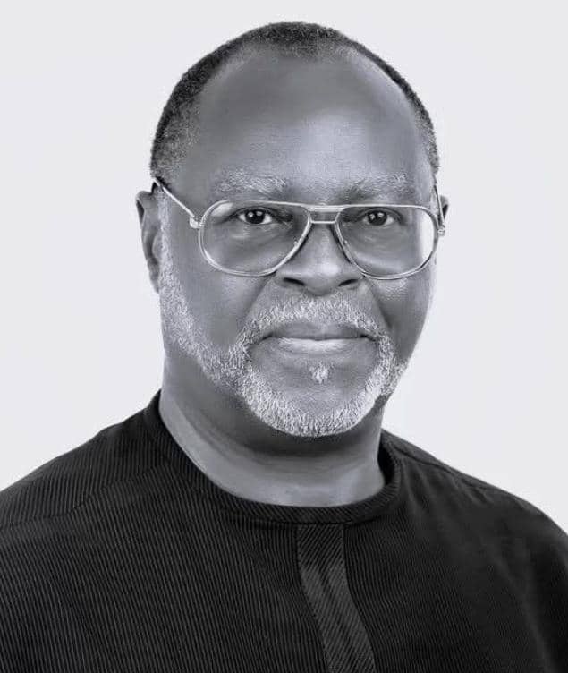 Jonathan’s Possible Return Causing Serious Panic in Tinubu’s Camp— Udenta