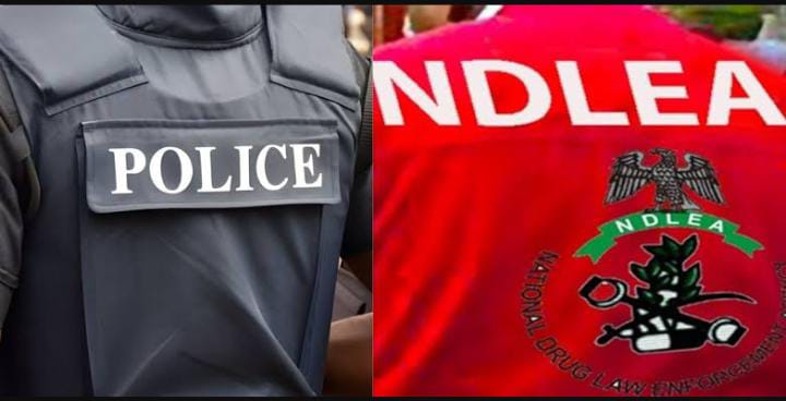 NDLEA vs ABBA KYARI: THE FACTS NIGERIANS NEED TO SEE