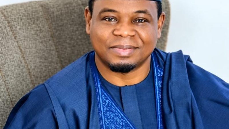 BEYOND ORIGIN AND ENTITLEMENT: WHY ADAMAWA 2027 DEMANDS COMPETENCE, CAPACITY AND A NEW DEVELOPMENT PARADIGM – Cliff Stanley
